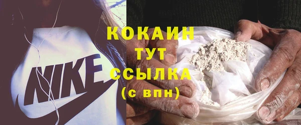 сатива Абинск