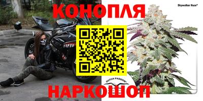 ешки Долгопрудный